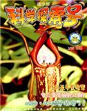 青少年科学探索（现：西部学刊）（停刊）
