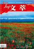 今日新疆（文萃版）（停刊）