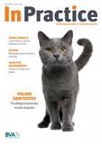 In Practice《实践》