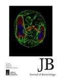 Journal of Bacteriology《细菌学杂志》