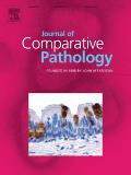 Journal of Comparative Pathology《比较病理学杂志》
