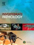 Journal of Invertebrate Pathology《无脊椎动物病理学杂志》