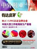 中外鞋业（原：中外鞋苑）（现： 鞋类工艺与设计）