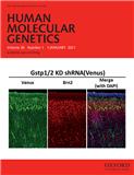 Human Molecular Genetics《人类分子遗传学》