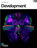 DEVELOPMENT《发育》
