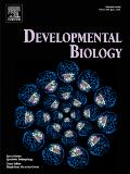 Developmental Biology《发育生物学》