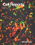 Cell Reports《细胞报告》