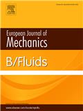 European Journal of Mechanics B/Fluids《欧洲力学杂志B：流体力学》