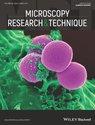 Microscopy Research and Technique《显微镜研究与技术》