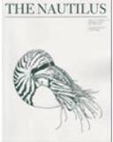 The Nautilus《鹦鹉螺》