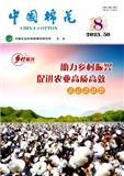 中国棉花