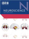 Neuroscience《神经科学》