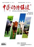 中国动物保健
