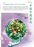 中国中药杂志