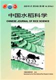 中国水稻科学