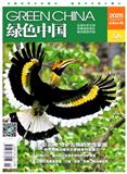 绿色中国