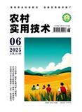 农村实用技术（原：东南亚南亚信息）（不收版面费审稿费）