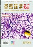 微循环学杂志