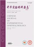 中华实验眼科杂志（中英文） （原：眼科研究）