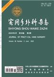 实用手外科杂志