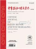 中华损伤与修复杂志（电子版）