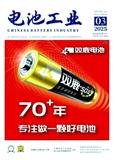 电池工业