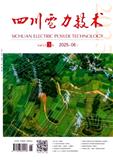 四川电力技术