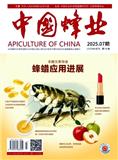中国蜂业