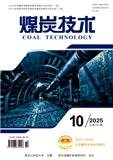 煤炭技术（原：国外煤炭）