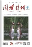 阅读时代（上半月）