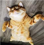 jojo要努力学习！