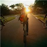 用历史为人民说话