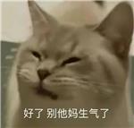 对硕士好一点求求了！