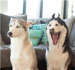 投稿的小透明一枚