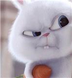 一朵兔兔兔兔兔