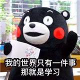 意图闯进学术圈的小菜鸡