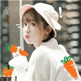 圣彼得堡的快递