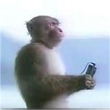 求求求求录了我吧