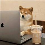 发c发北录录录-