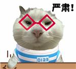 C刊北核一生之敌-